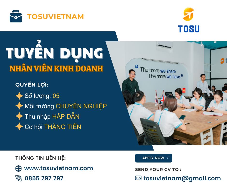 lĩnh vực hoạt động