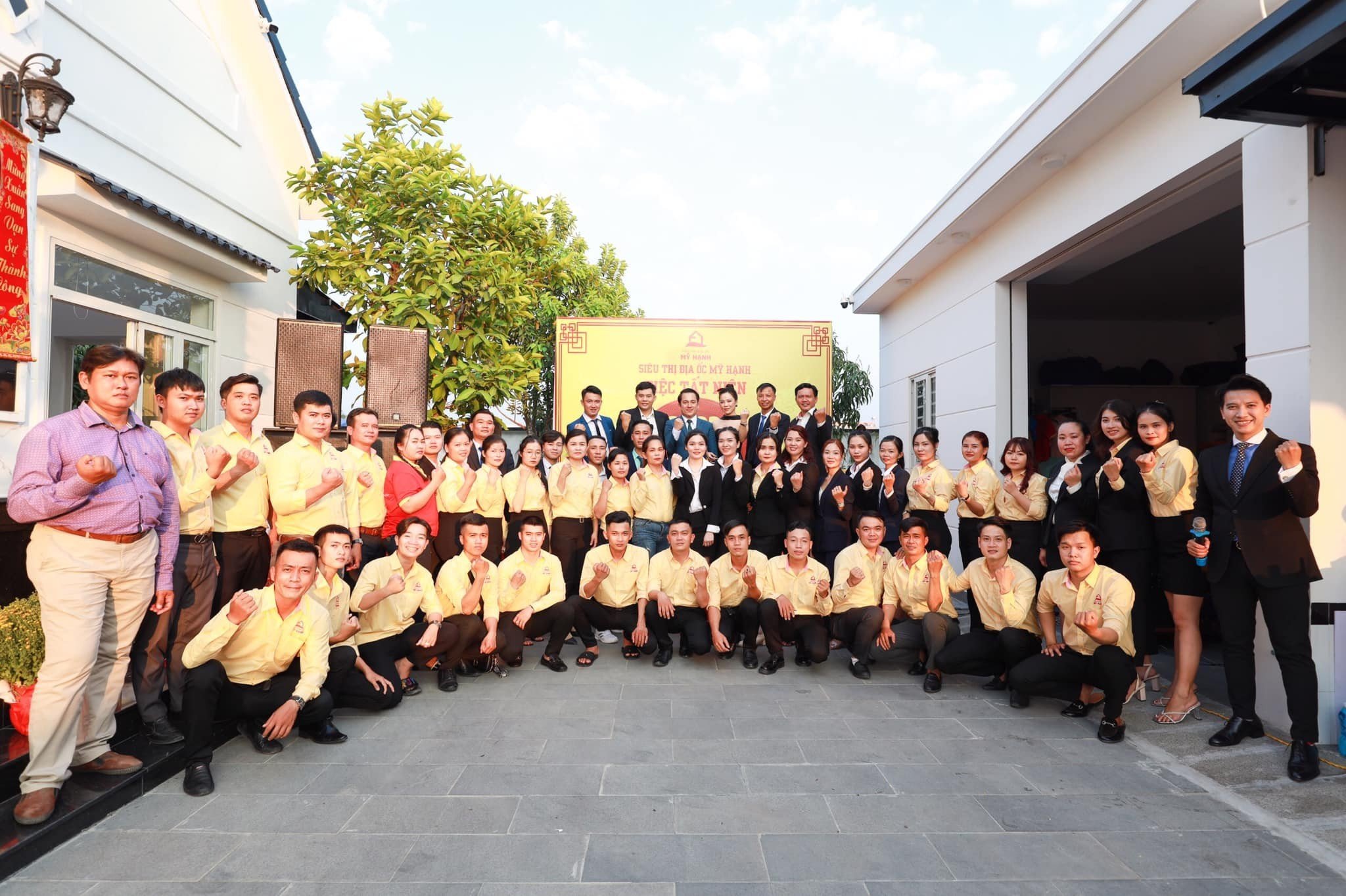 lĩnh vực hoạt động