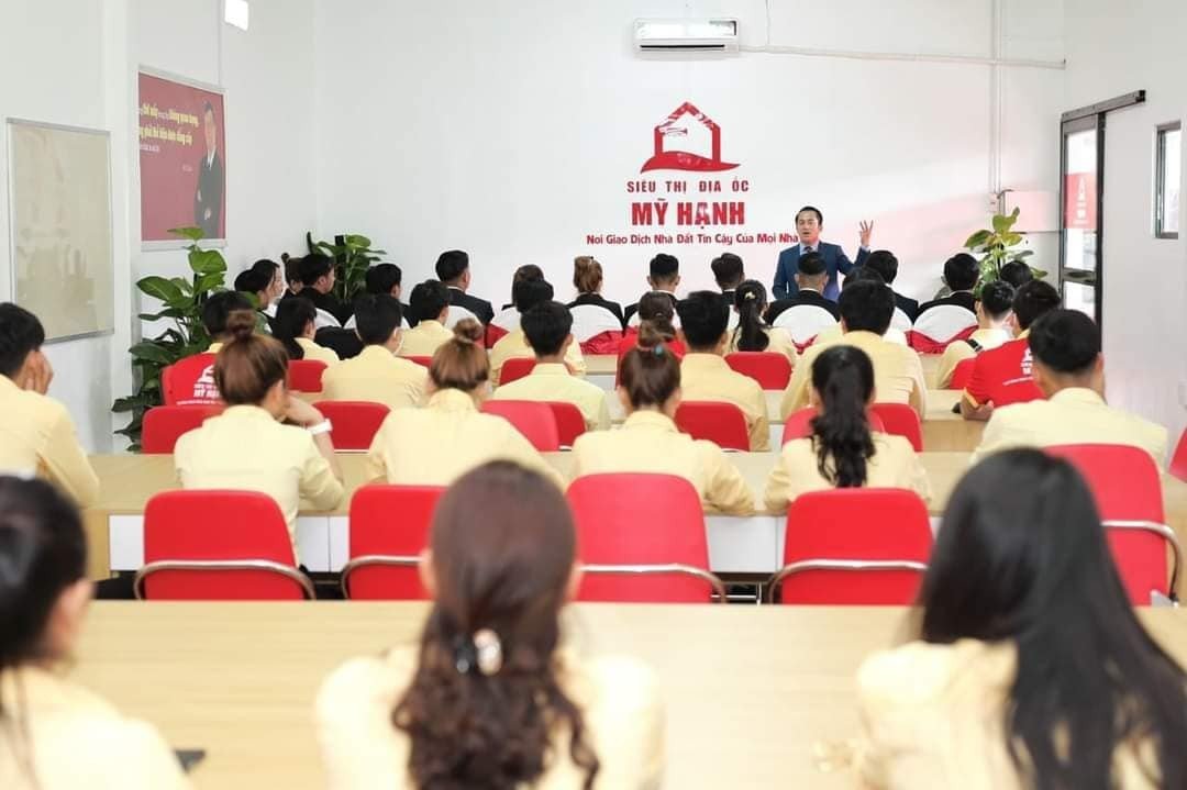 lĩnh vực hoạt động
