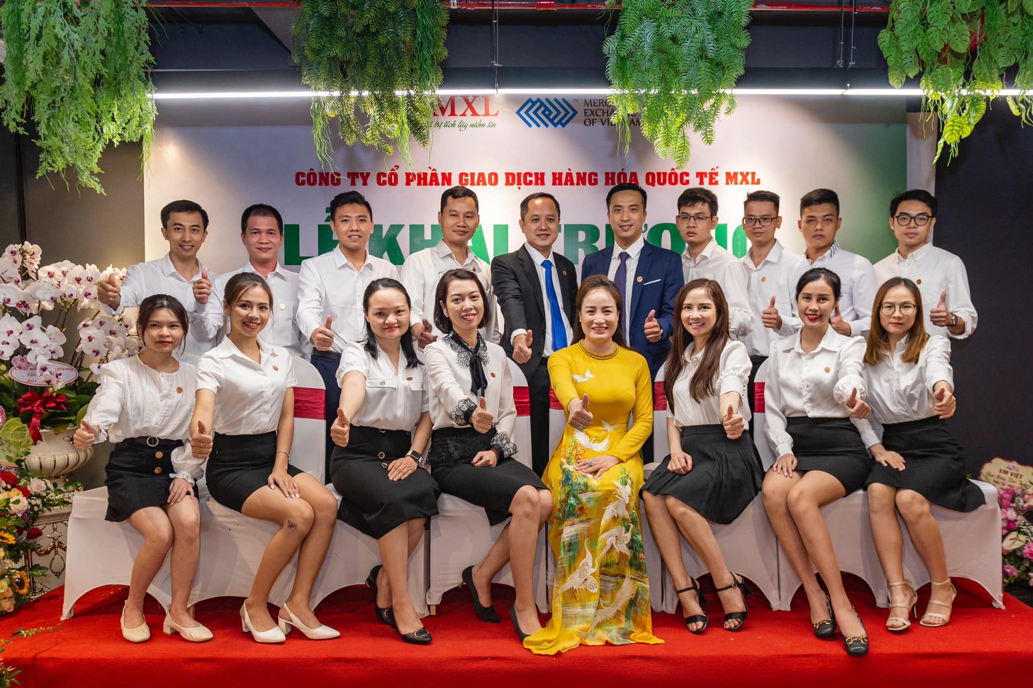 lĩnh vực hoạt động