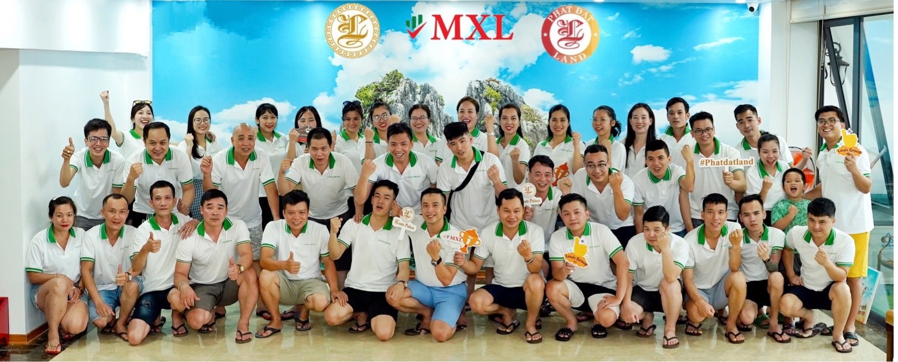 lĩnh vực hoạt động