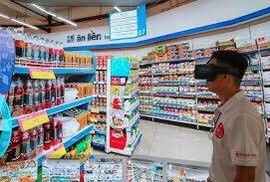 lĩnh vực hoạt động