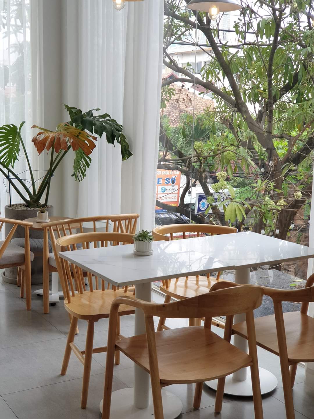 lĩnh vực hoạt động