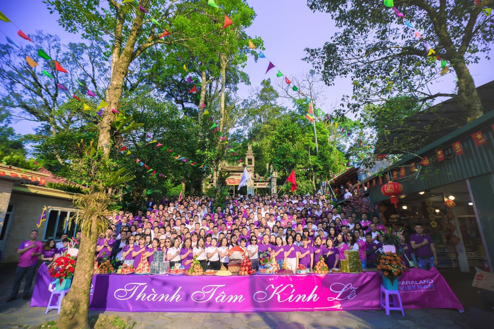 lĩnh vực hoạt động