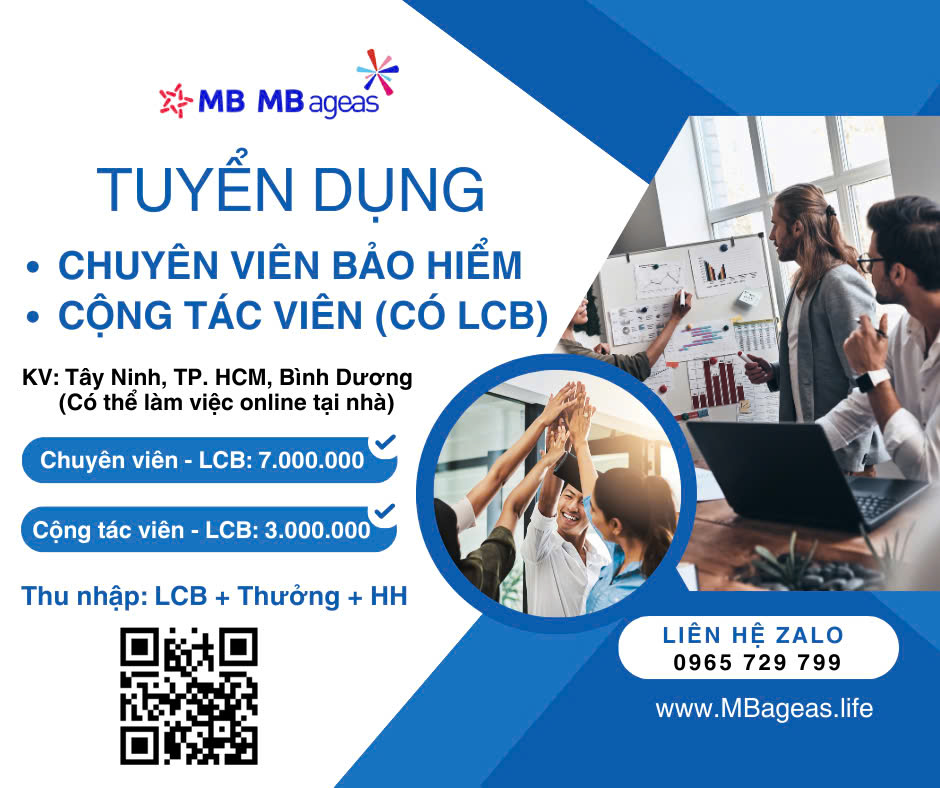 lĩnh vực hoạt động
