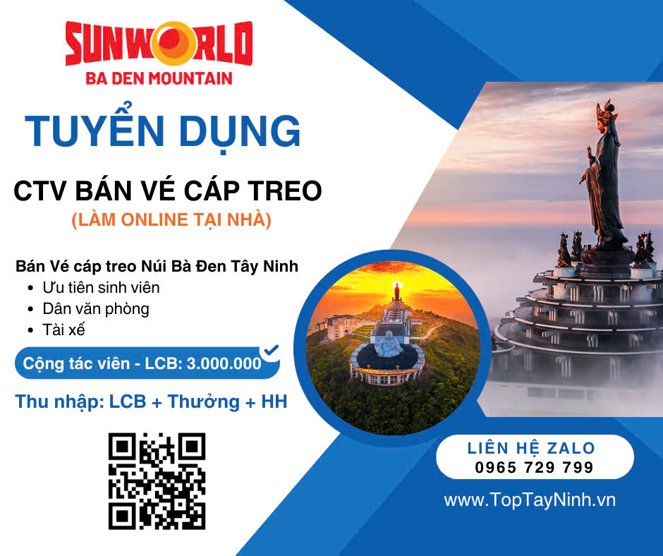 lĩnh vực hoạt động