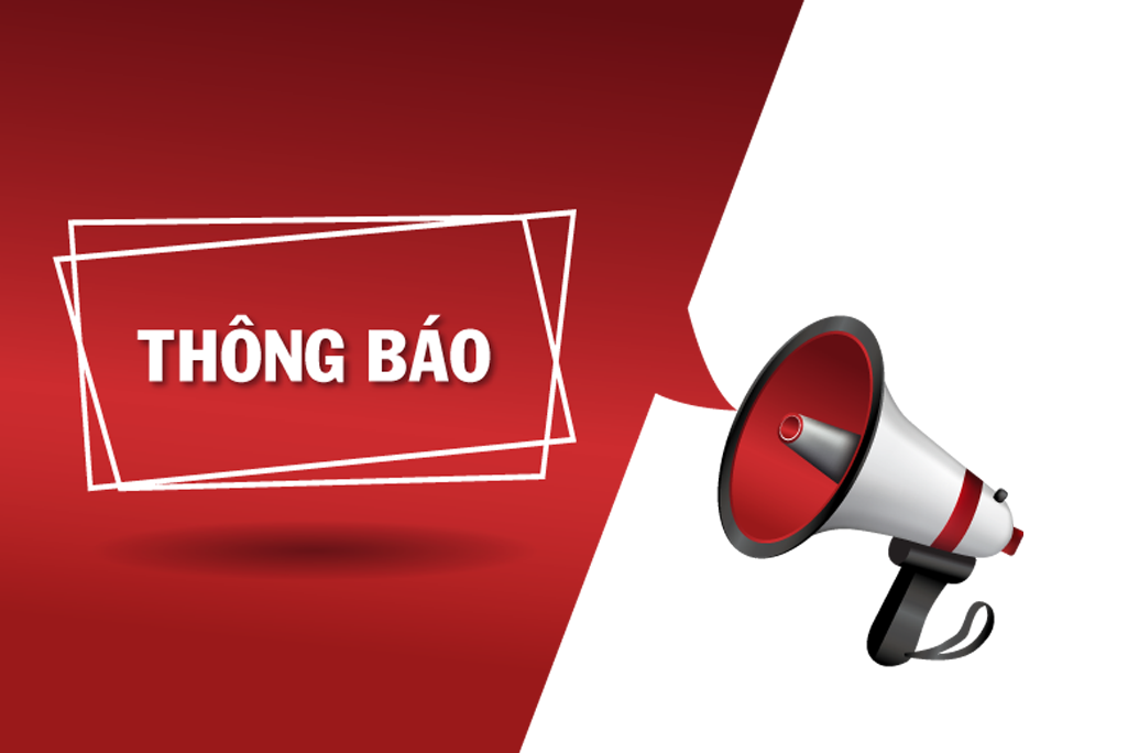 lĩnh vực hoạt động