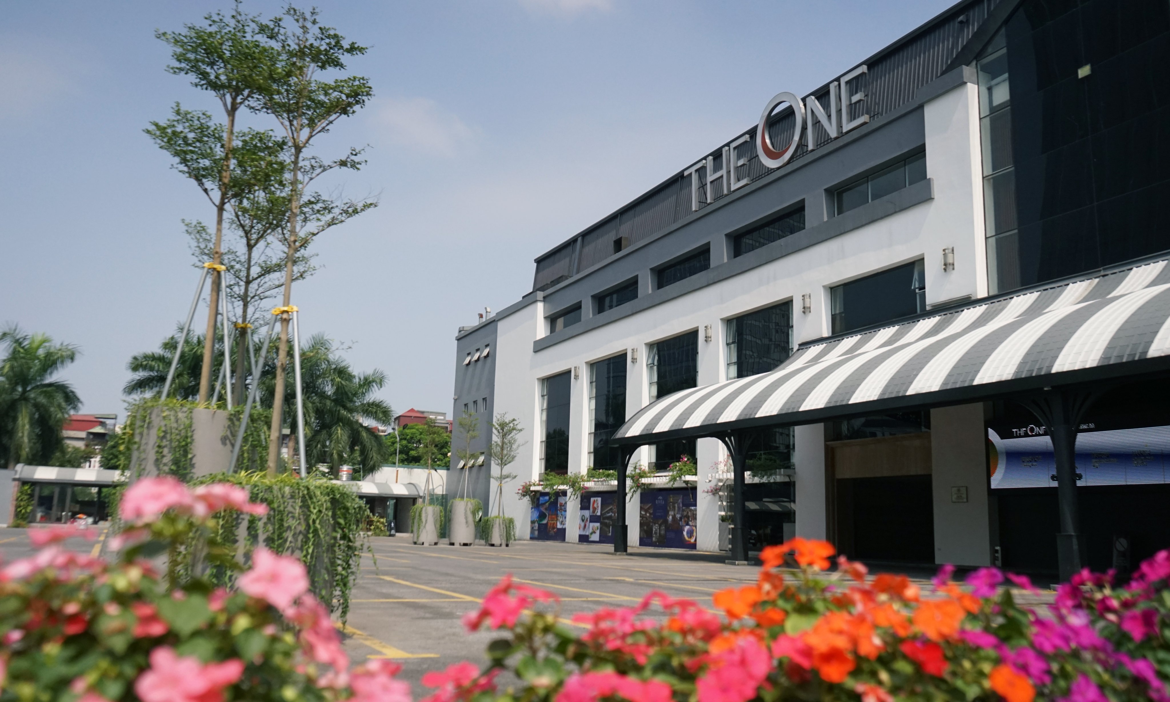 lĩnh vực hoạt động