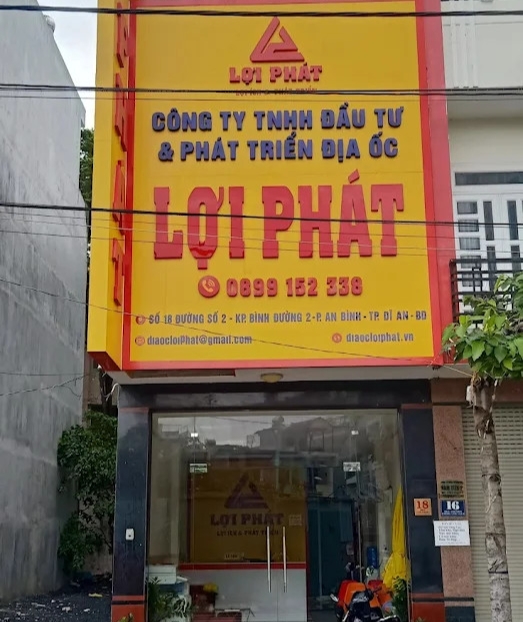 lĩnh vực hoạt động