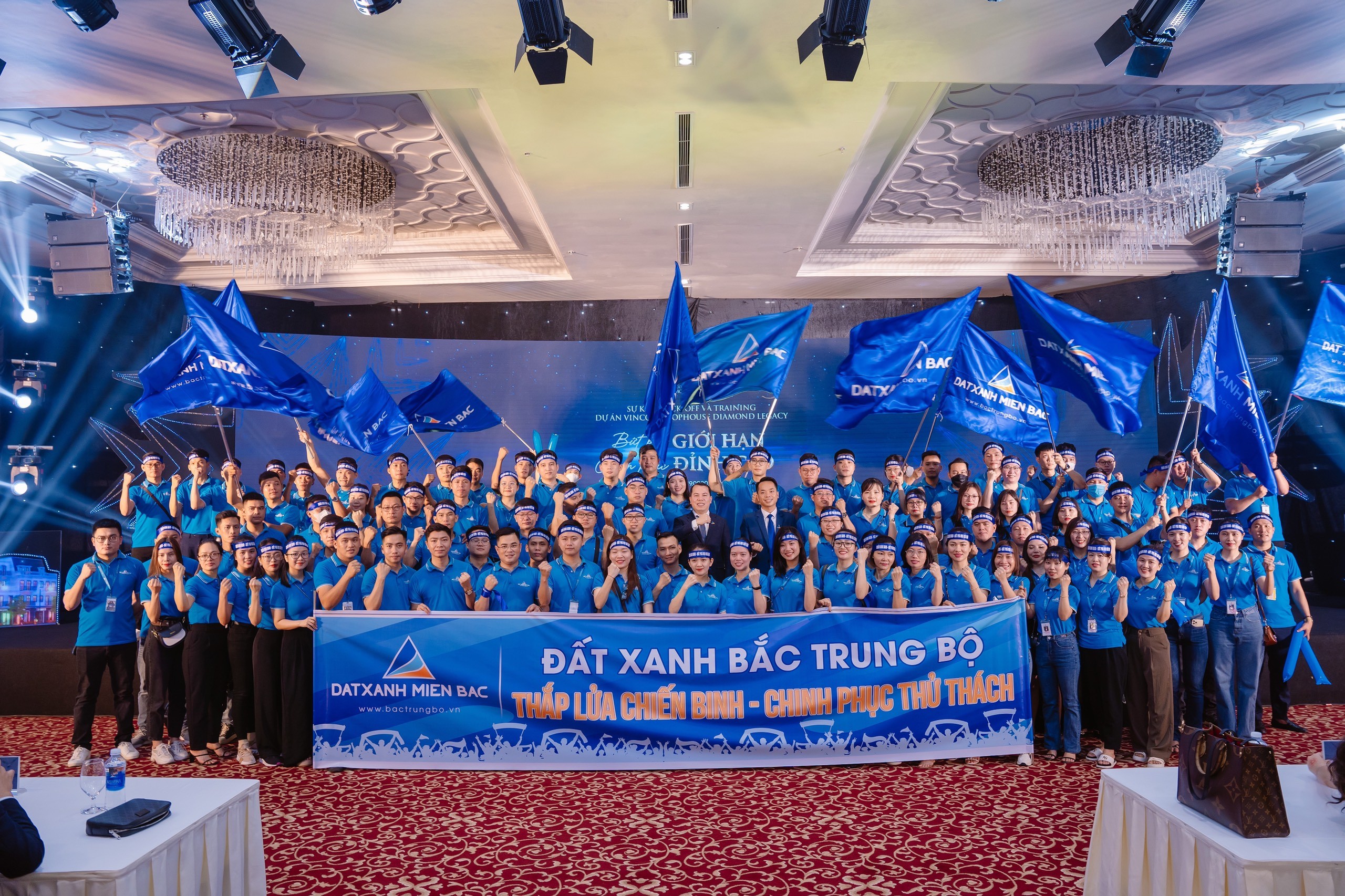 lĩnh vực hoạt động