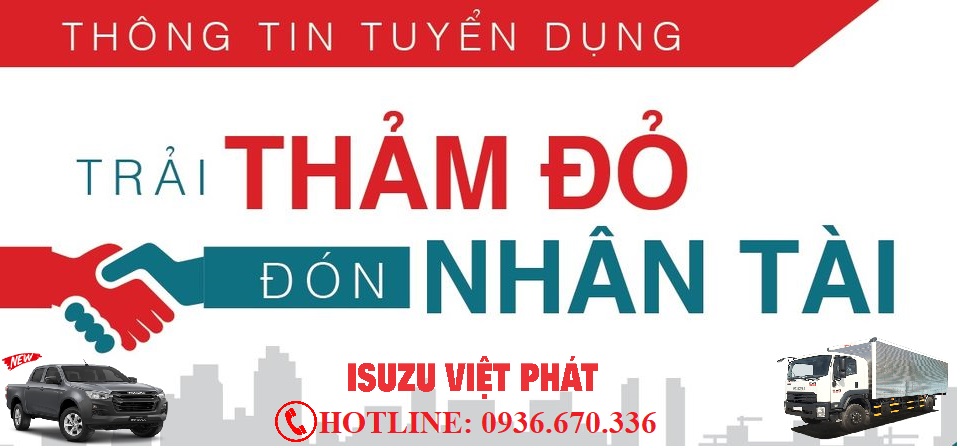 lĩnh vực hoạt động