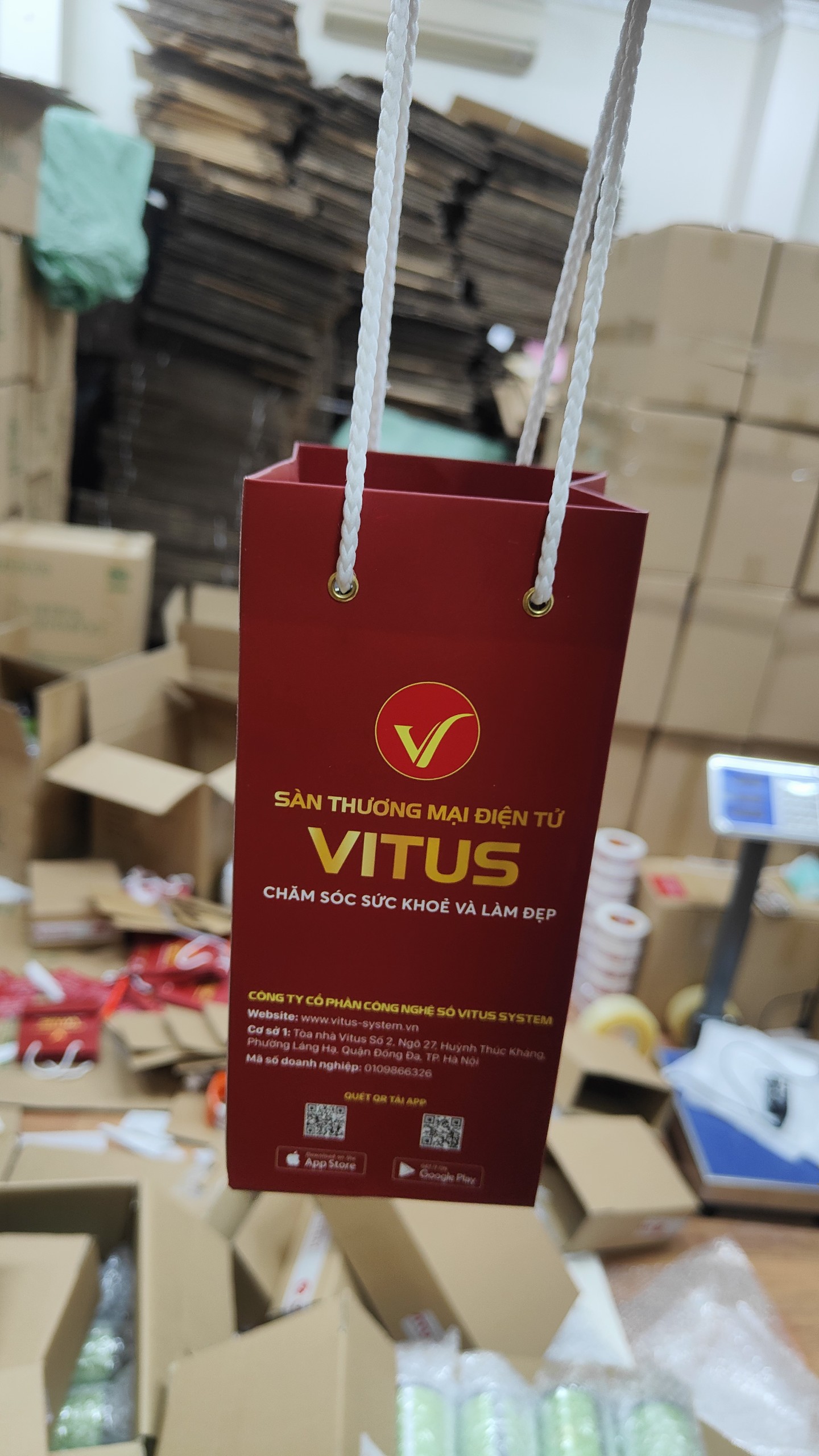 lĩnh vực hoạt động