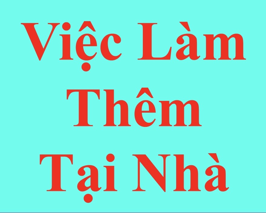 lĩnh vực hoạt động