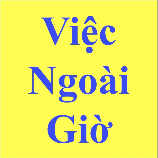 lĩnh vực hoạt động