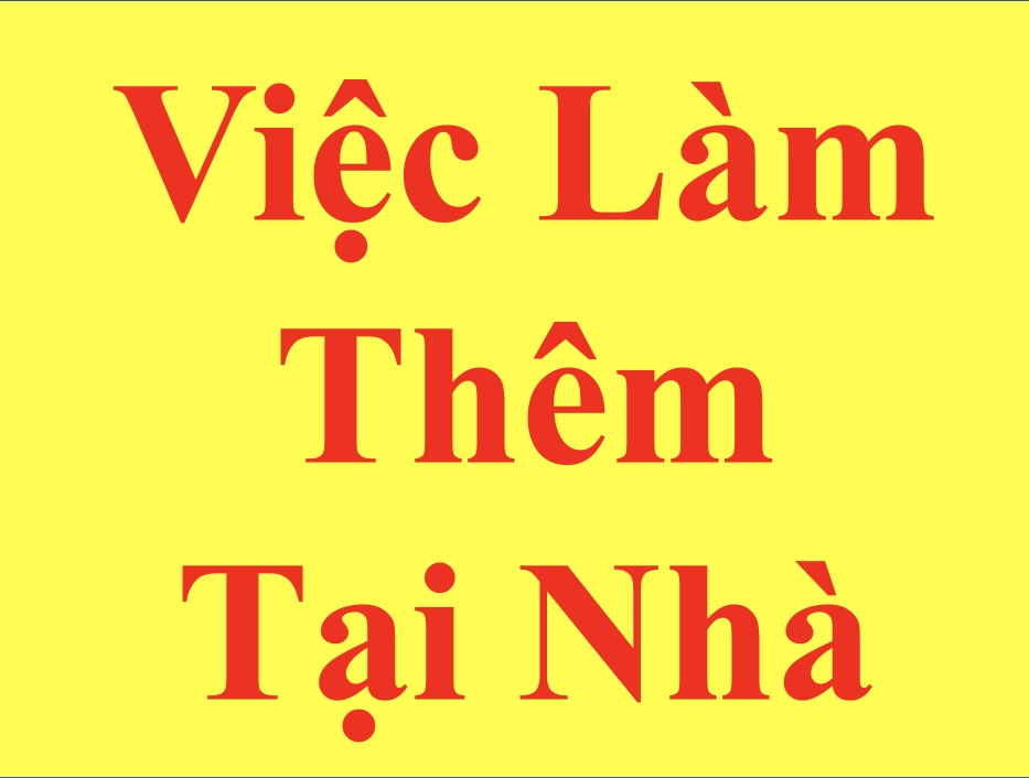 lĩnh vực hoạt động
