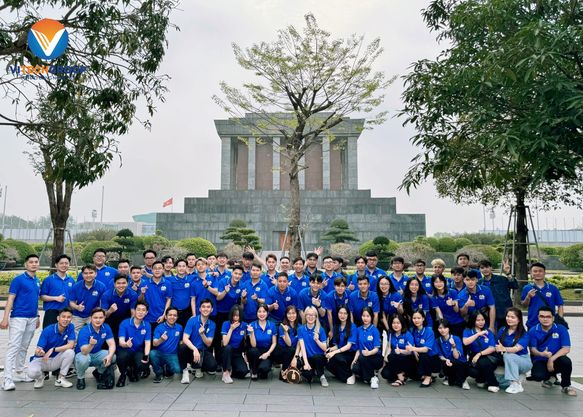 lĩnh vực hoạt động