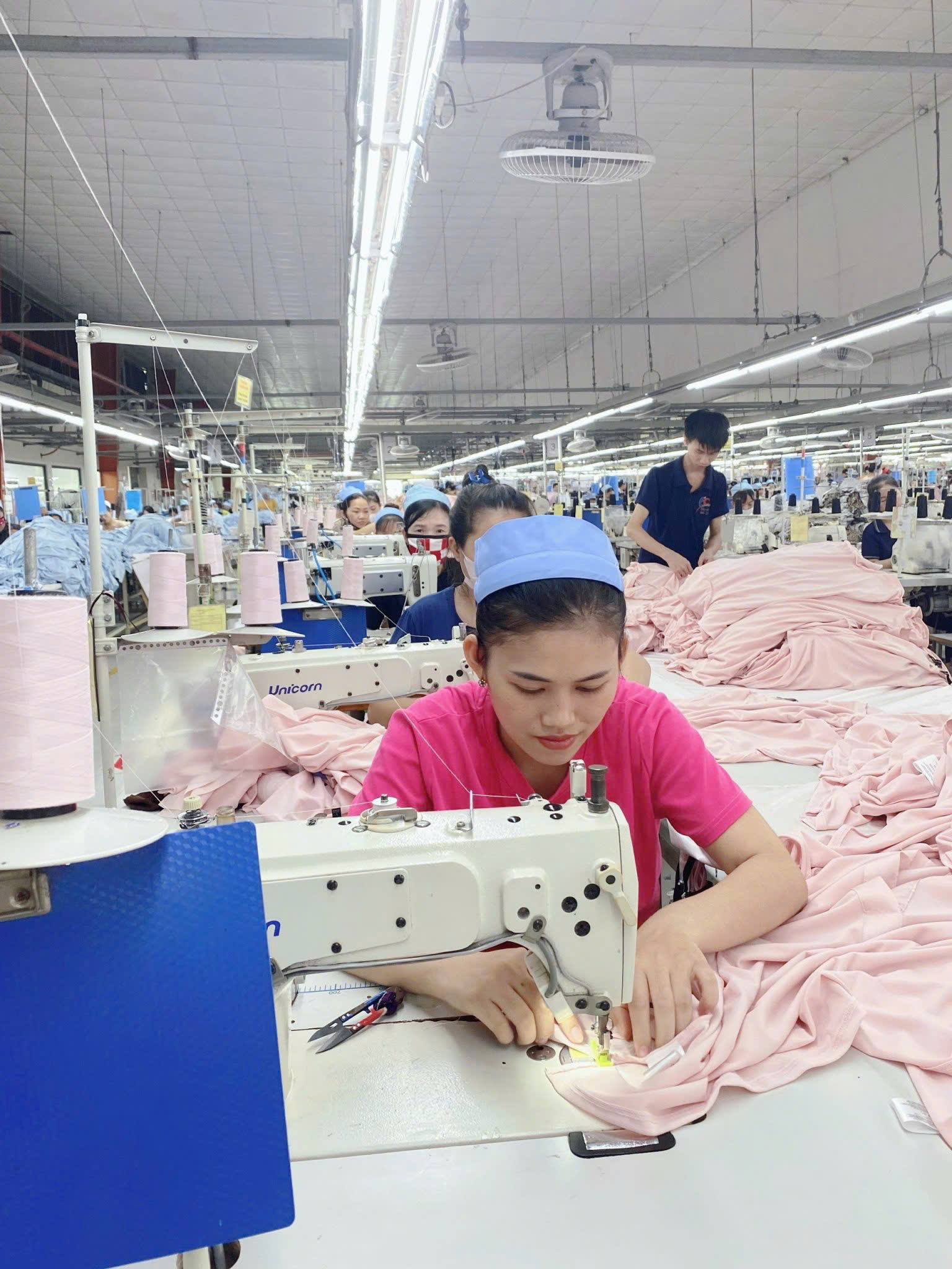 lĩnh vực hoạt động