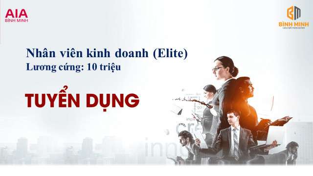 lĩnh vực hoạt động
