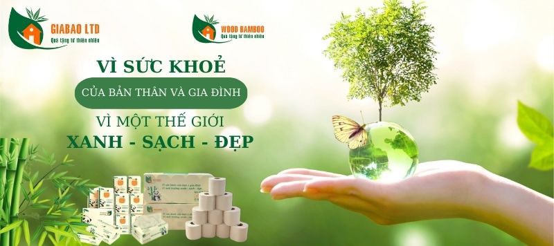 lĩnh vực hoạt động