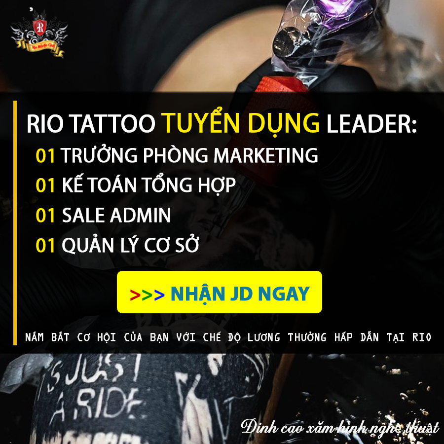 lĩnh vực hoạt động