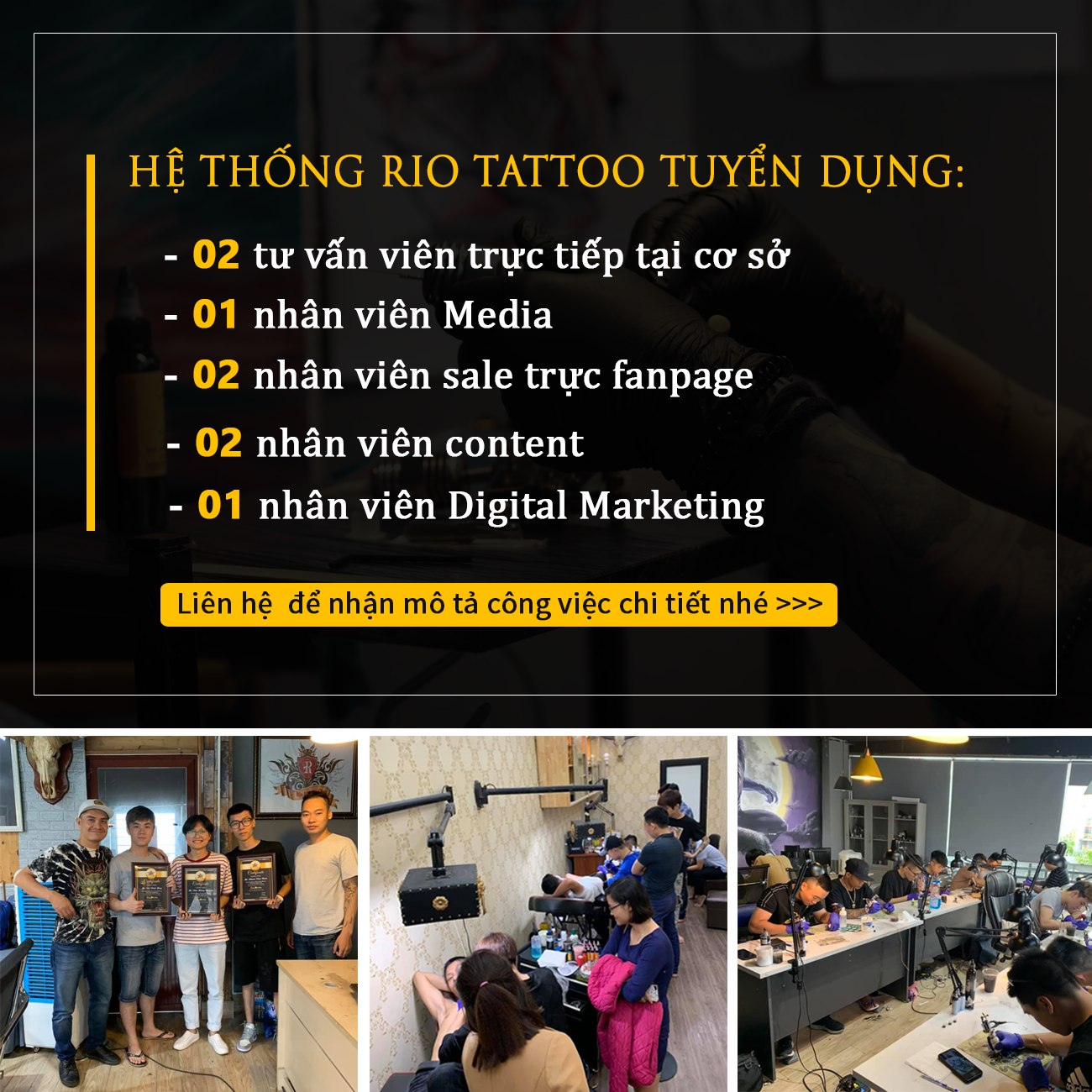 lĩnh vực hoạt động