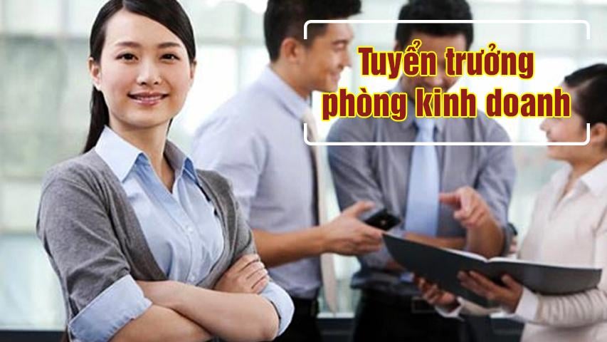 lĩnh vực hoạt động