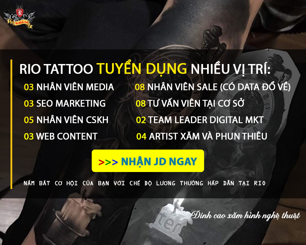 lĩnh vực hoạt động