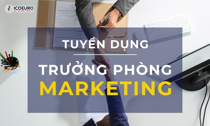 lĩnh vực hoạt động