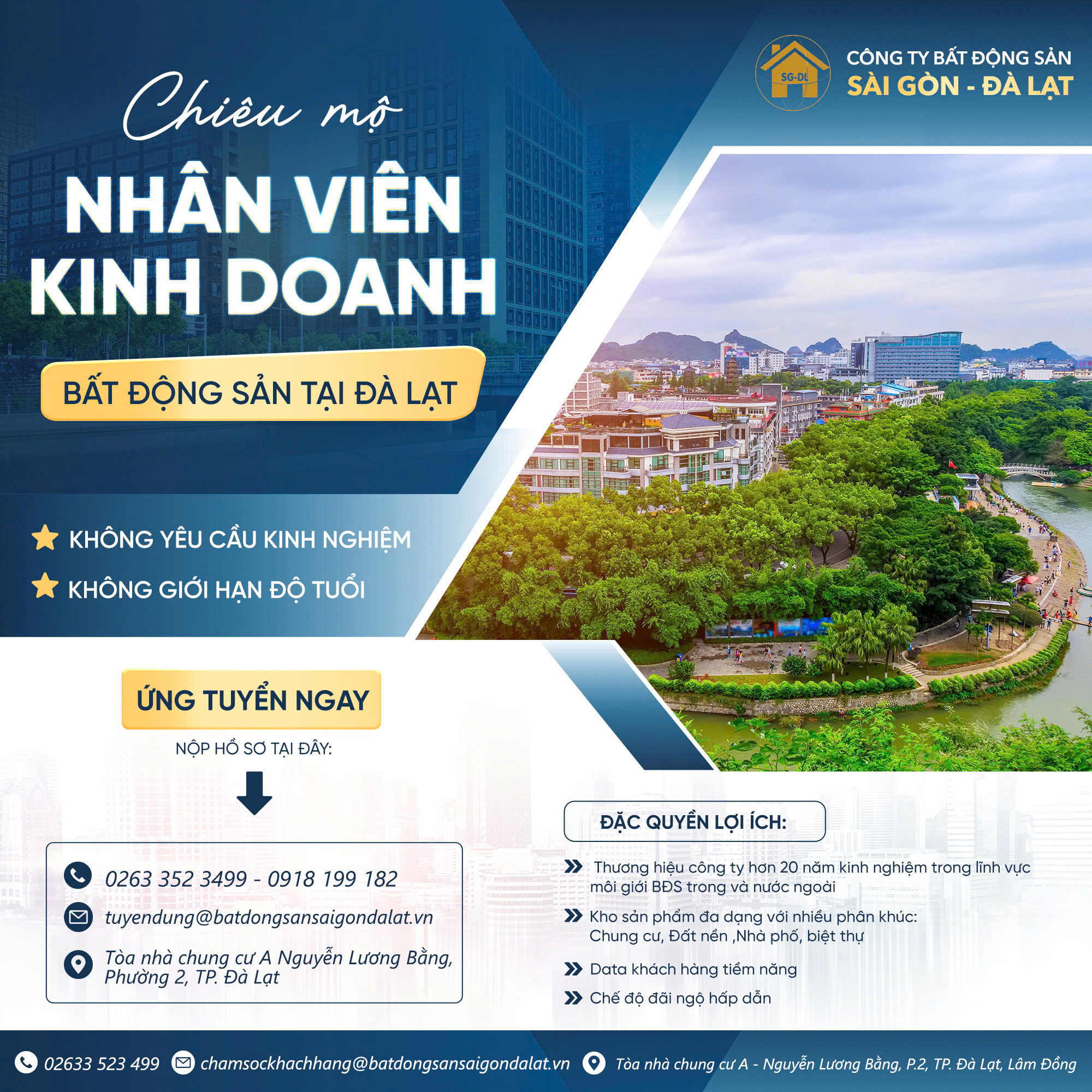 lĩnh vực hoạt động