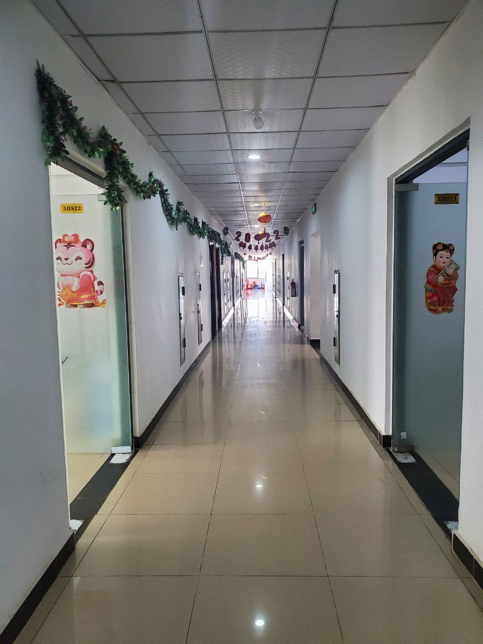 lĩnh vực hoạt động