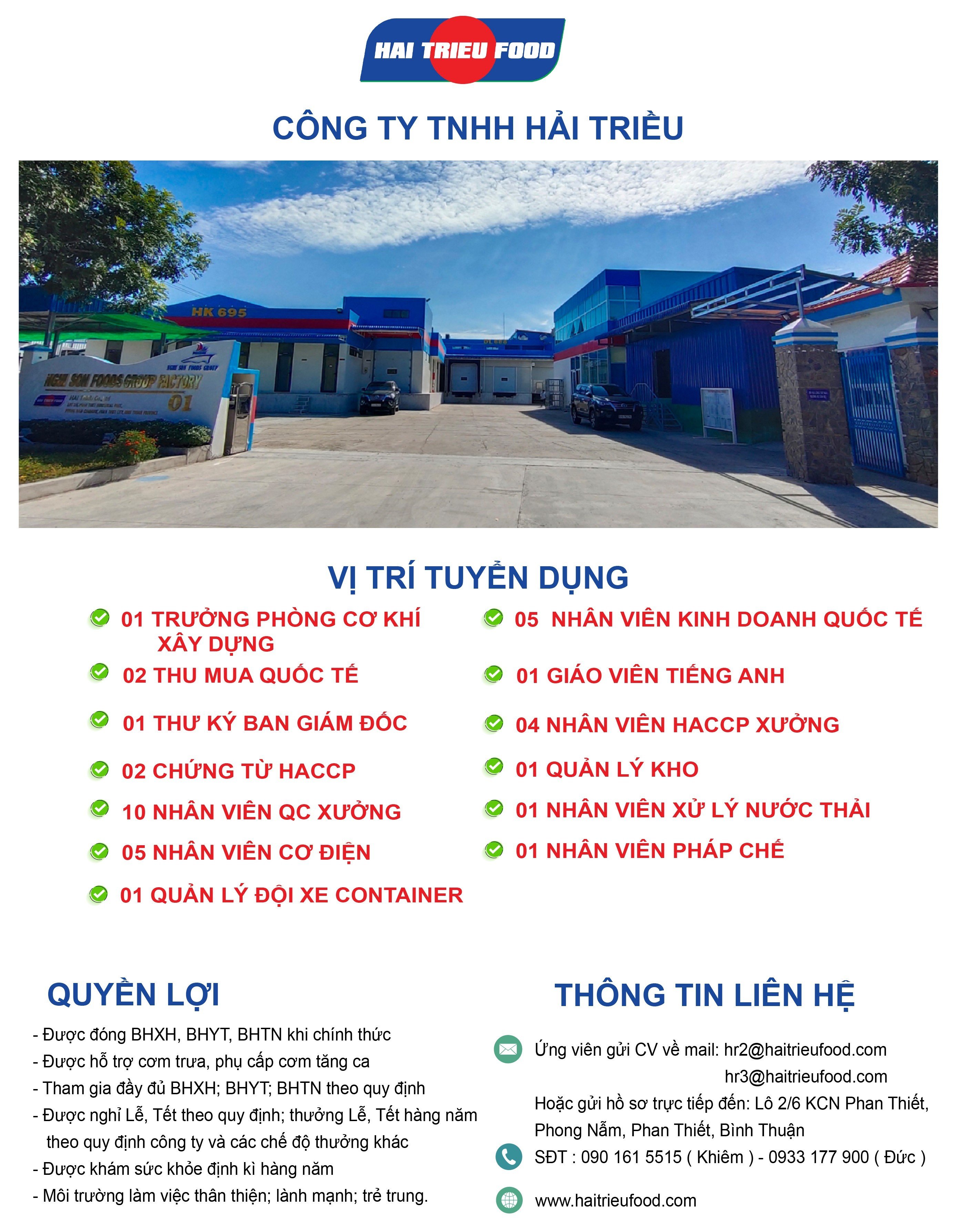lĩnh vực hoạt động