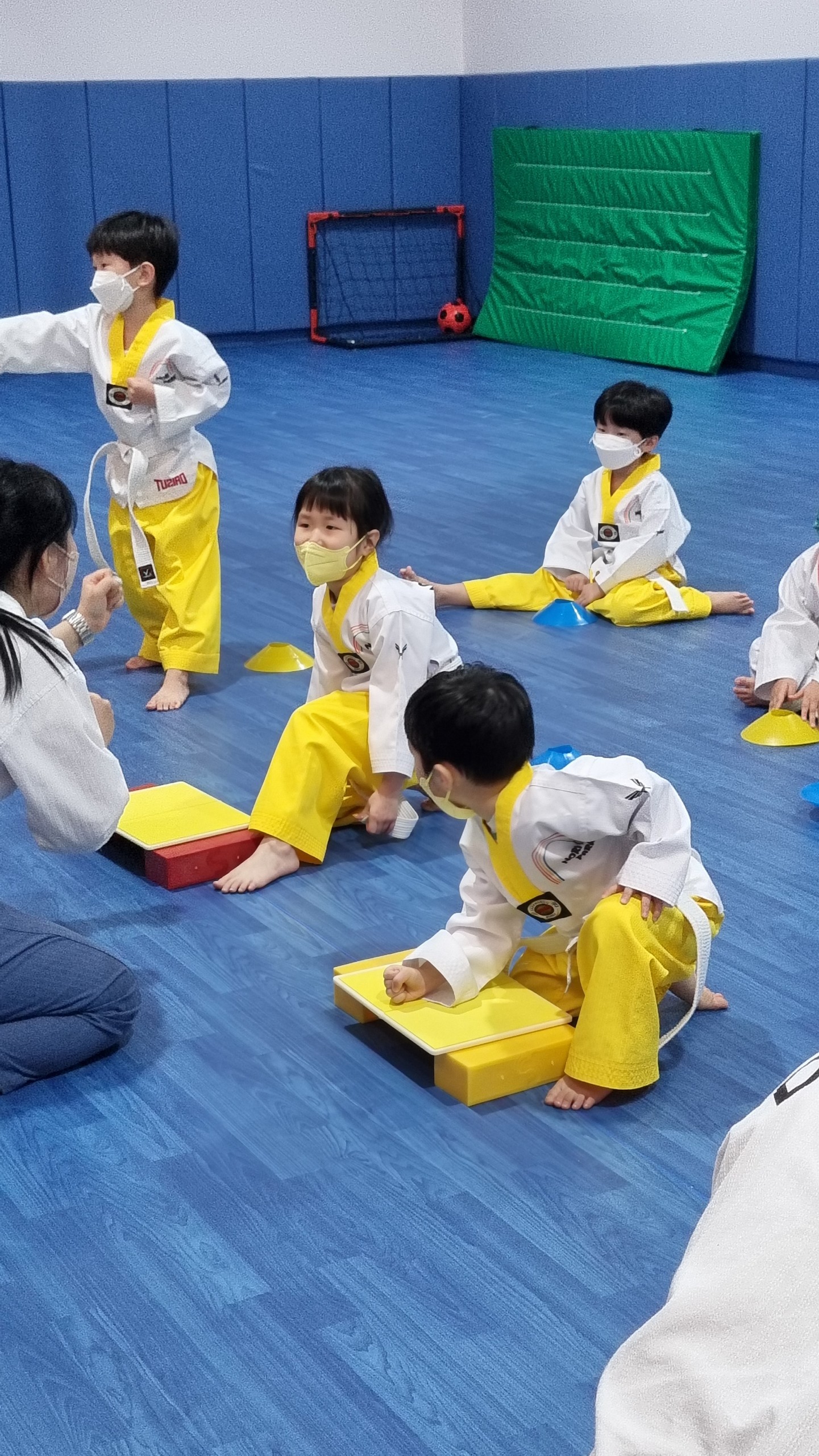 lĩnh vực hoạt động