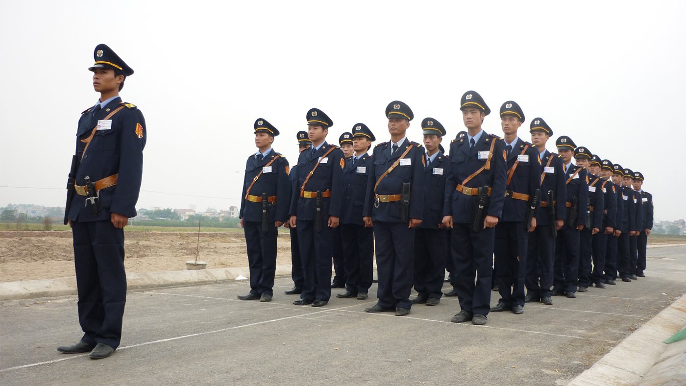 lĩnh vực hoạt động