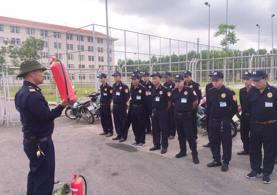 lĩnh vực hoạt động