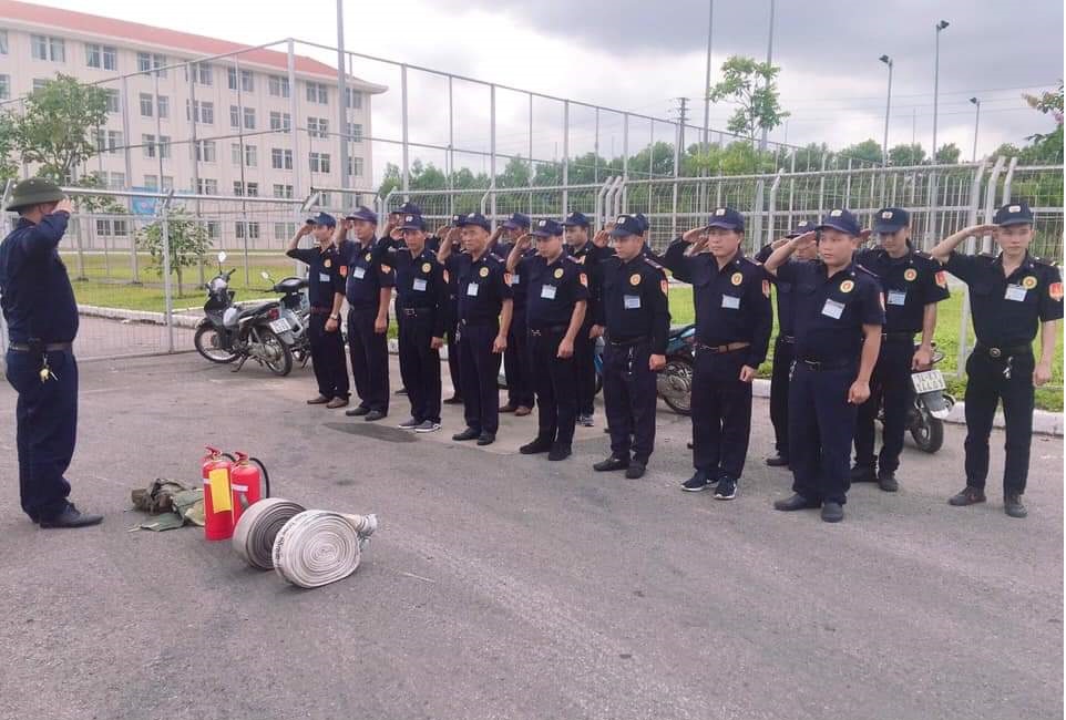 lĩnh vực hoạt động