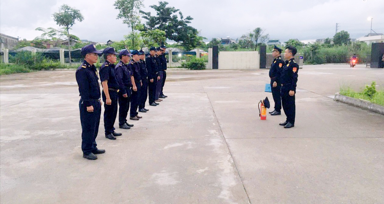 lĩnh vực hoạt động