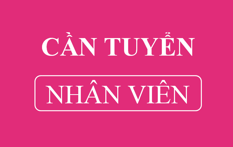 lĩnh vực hoạt động