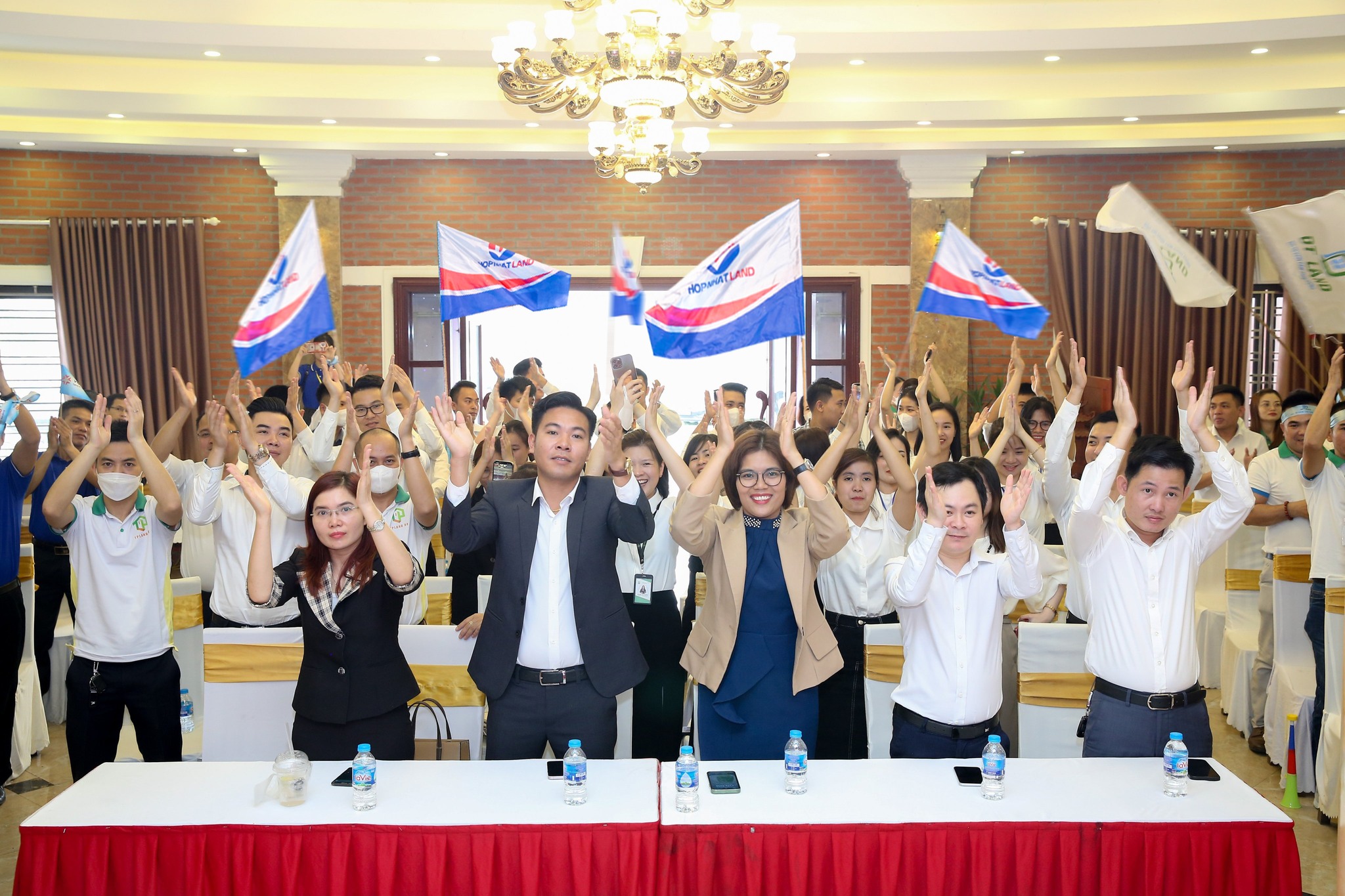 lĩnh vực hoạt động
