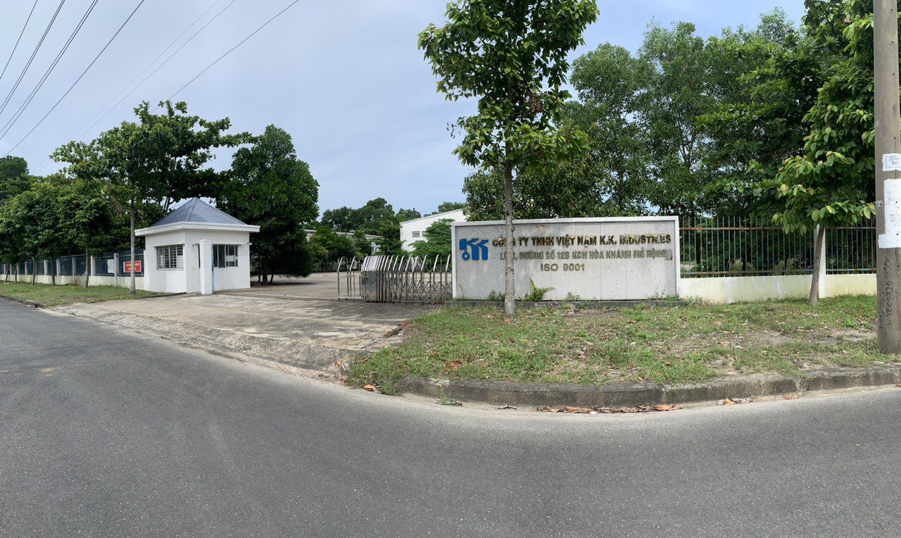 lĩnh vực hoạt động