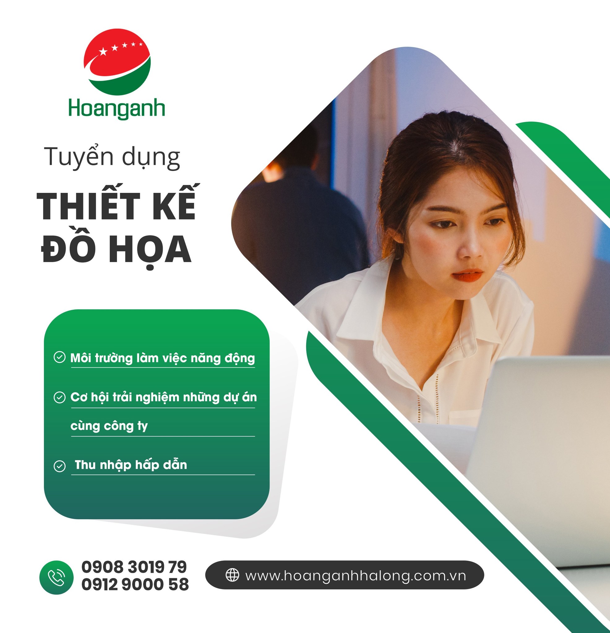 lĩnh vực hoạt động