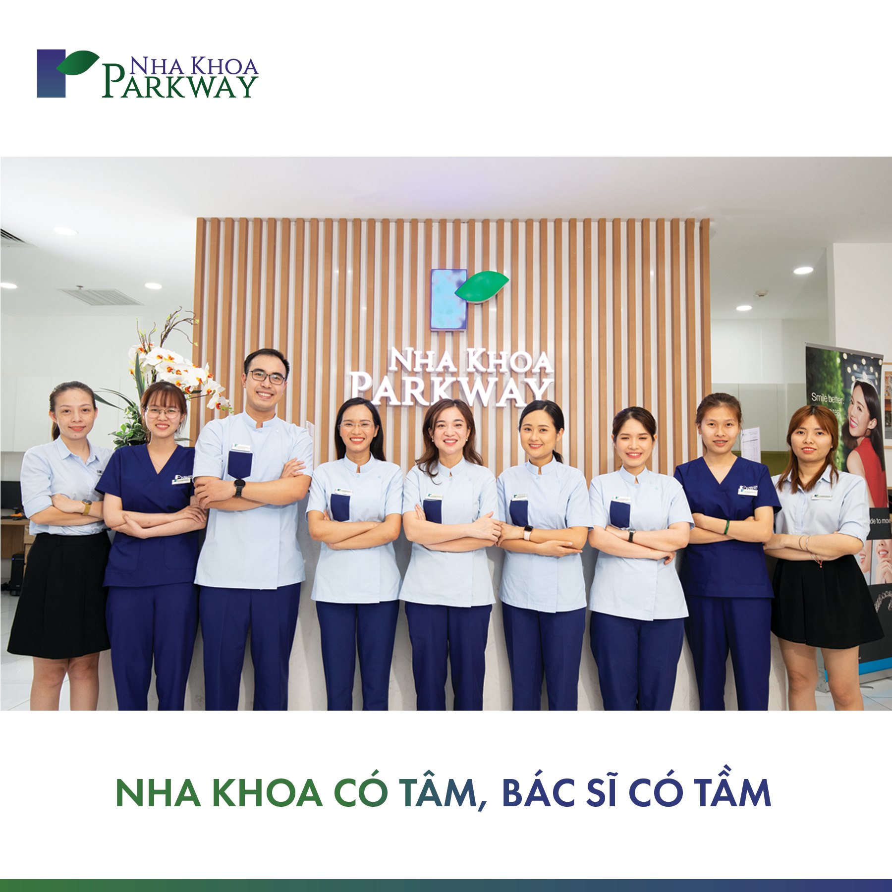 lĩnh vực hoạt động