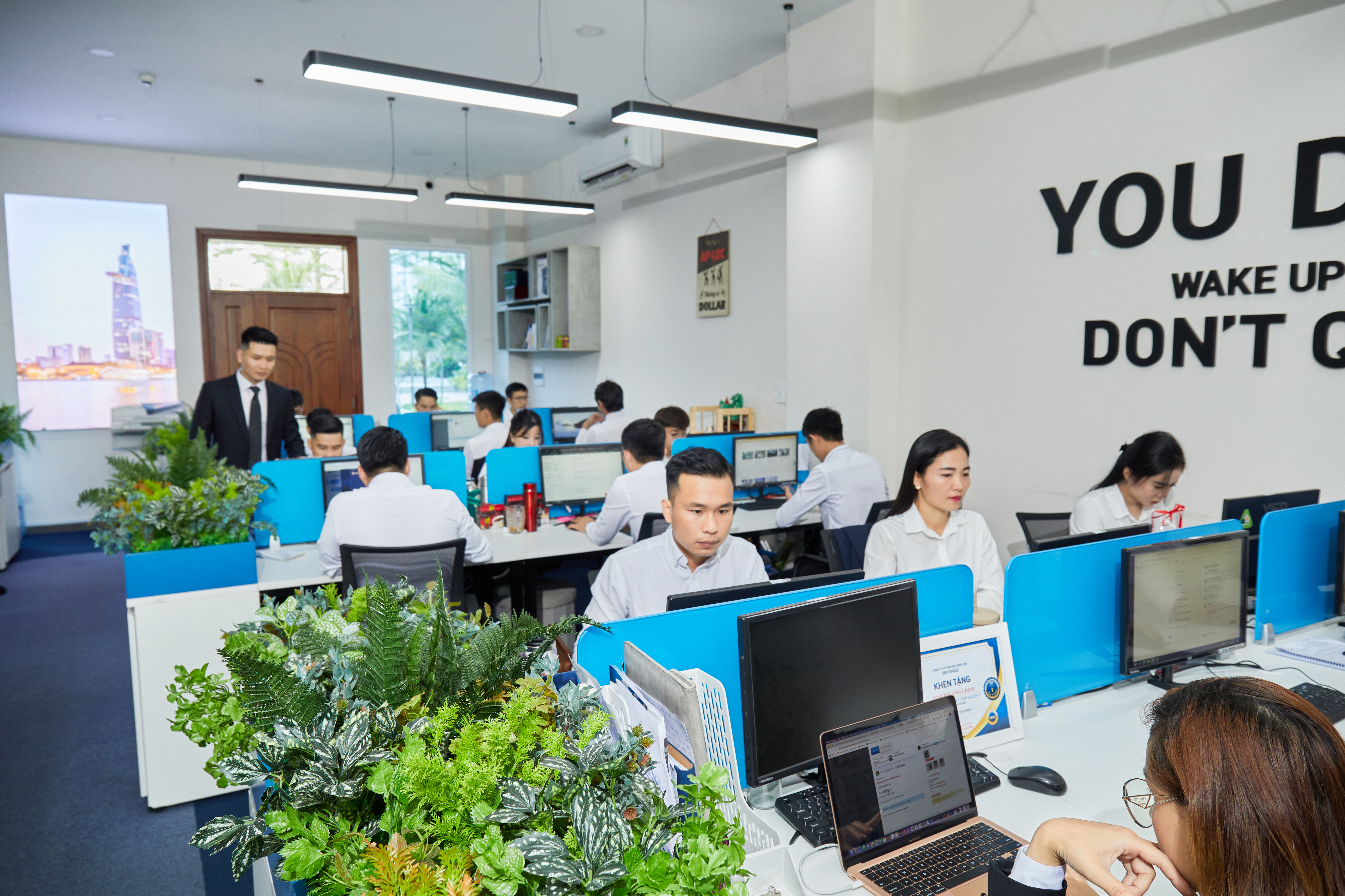 lĩnh vực hoạt động