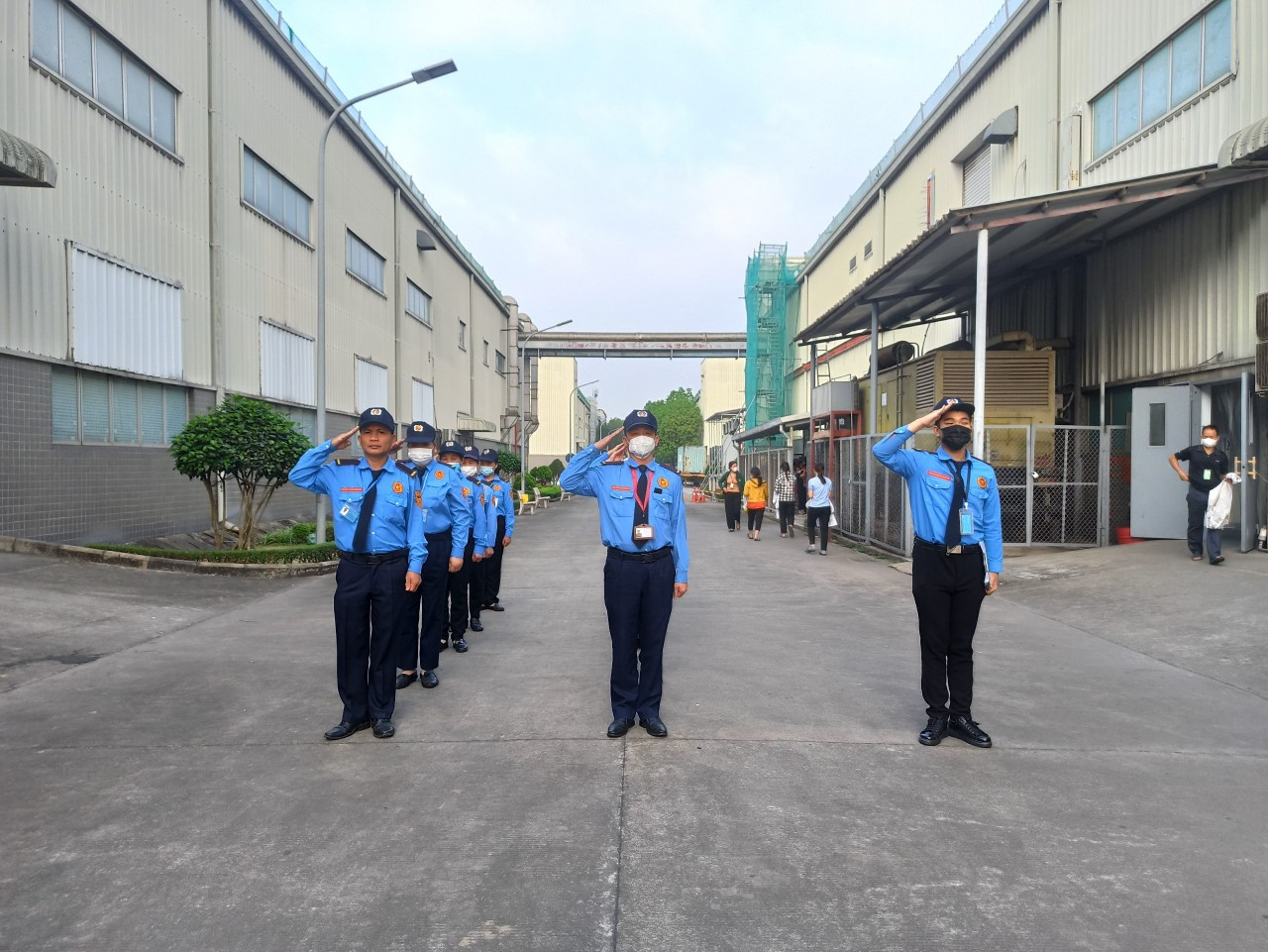 lĩnh vực hoạt động