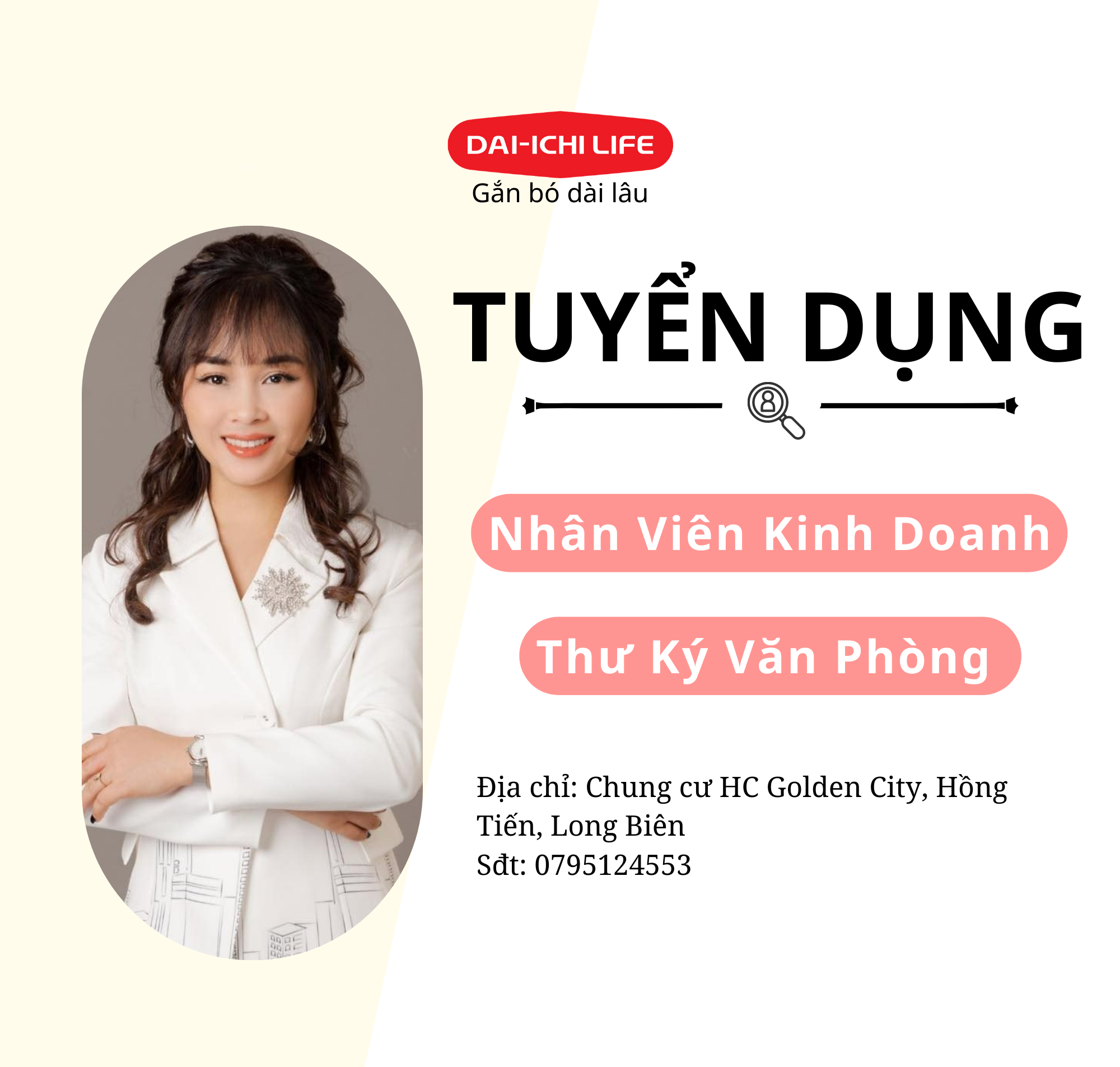 lĩnh vực hoạt động