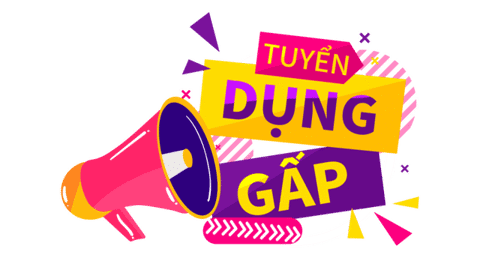 lĩnh vực hoạt động