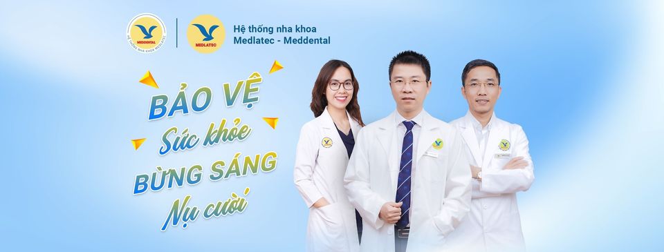 lĩnh vực hoạt động