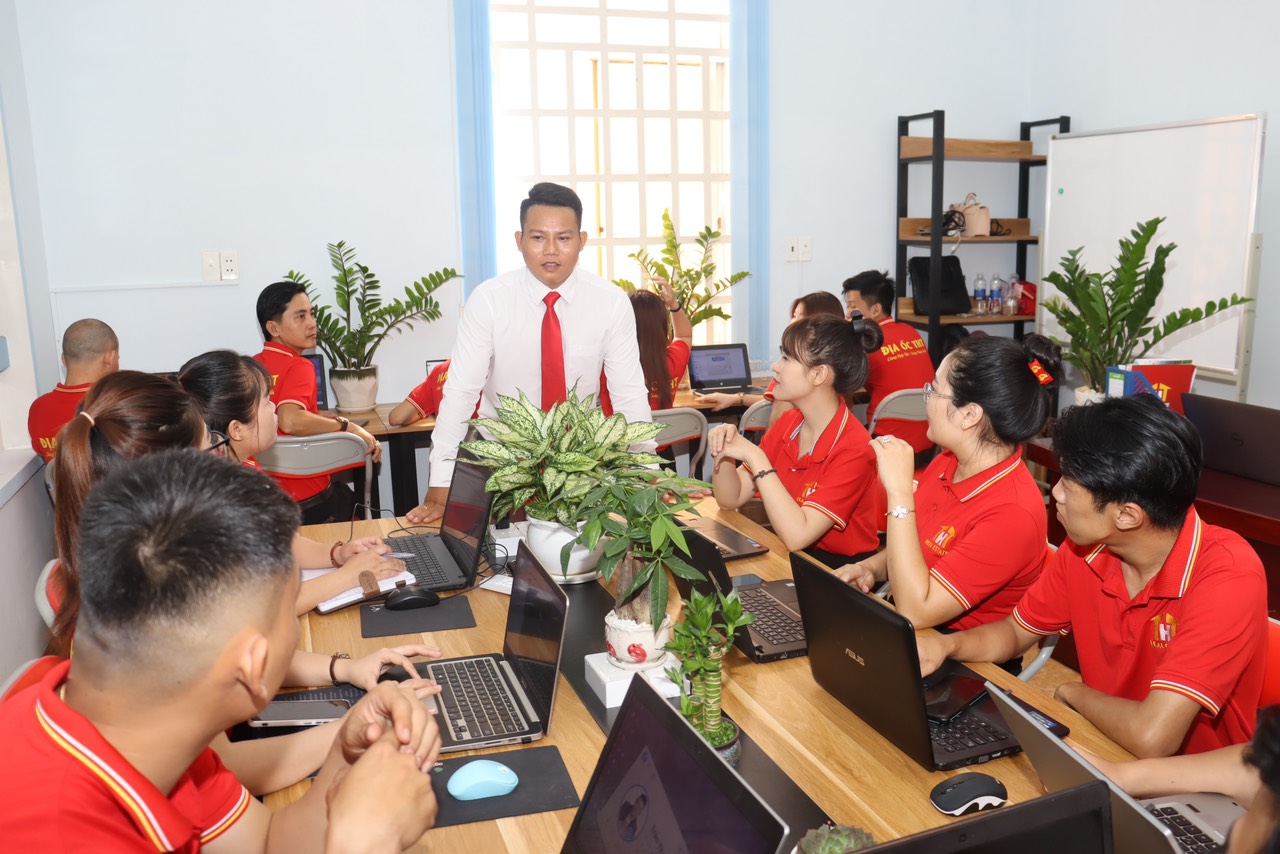 lĩnh vực hoạt động