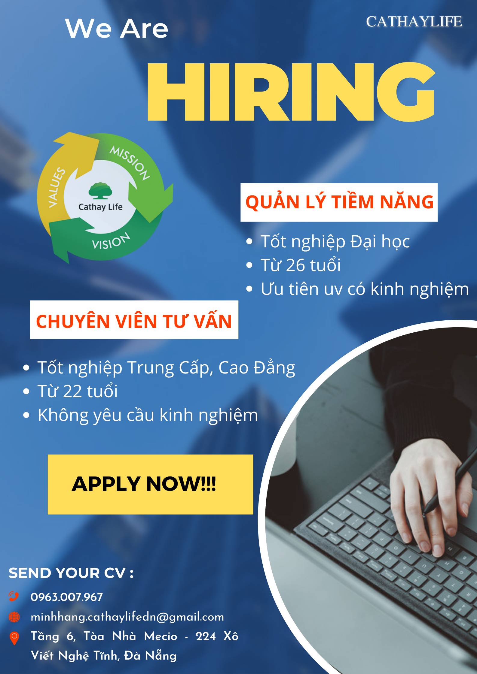 lĩnh vực hoạt động