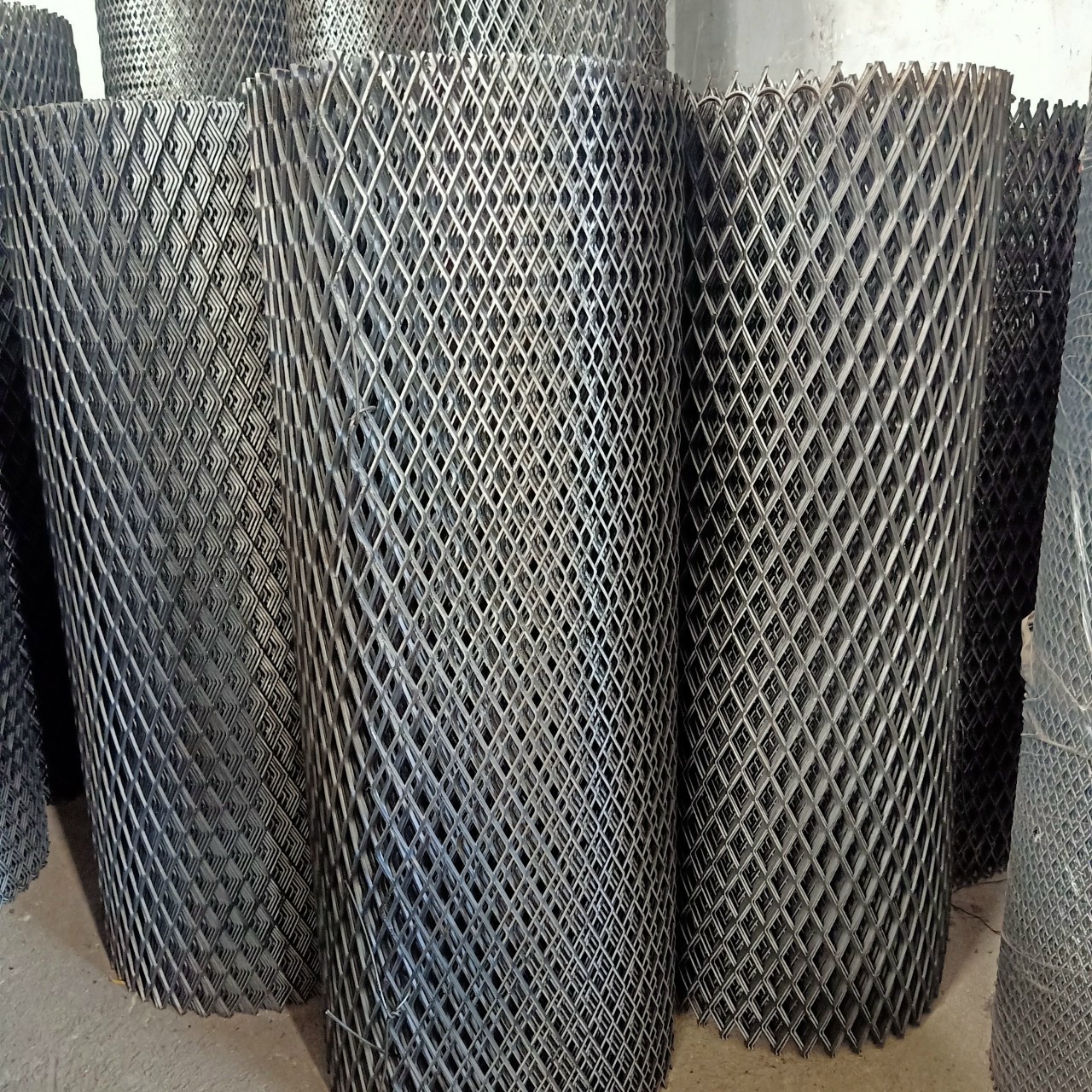 lĩnh vực hoạt động