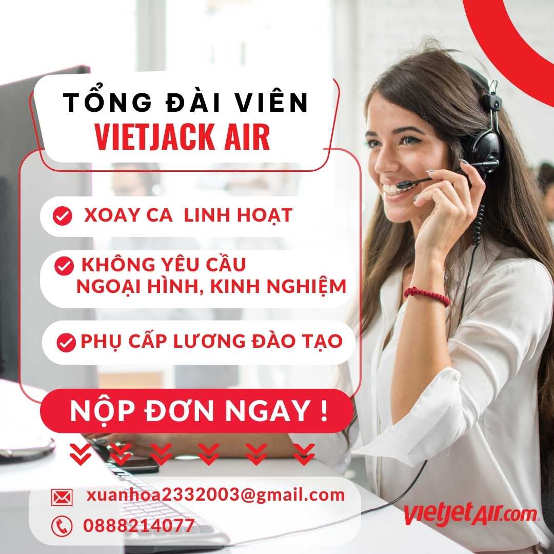 lĩnh vực hoạt động